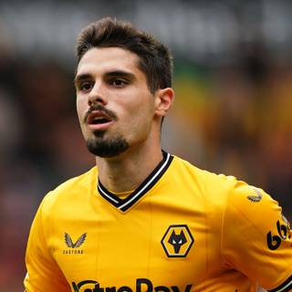 Pedro Neto wallpaper