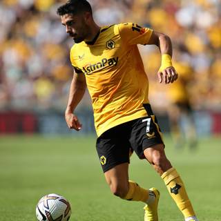 Pedro Neto wallpaper