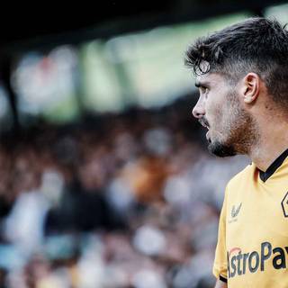 Pedro Neto wallpaper