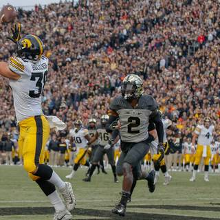 TJ Hockenson wallpaper