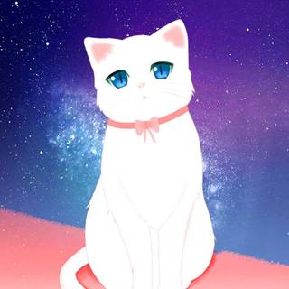White kitty wallpaper