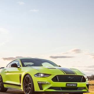 GT Mustang mobile wallpaper