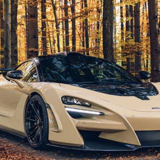 Autumn supercar wallpaper