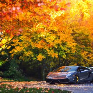 Autumn supercar wallpaper