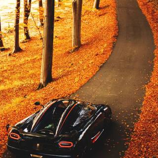 Autumn supercar wallpaper