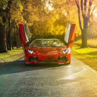 Autumn supercar wallpaper