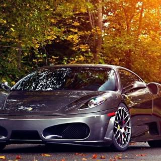 Autumn supercar wallpaper