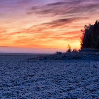 Moody winter wallpaper