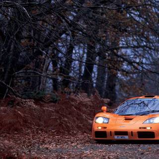 Autumn supercar wallpaper