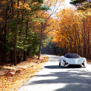 Autumn supercar wallpaper