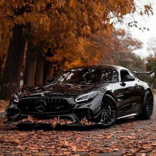 Autumn supercar wallpaper