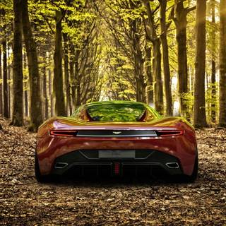 Autumn supercar wallpaper