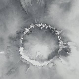 Moody winter wallpaper