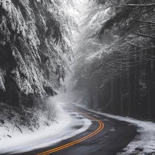 Moody winter wallpaper