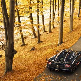 Autumn supercar wallpaper