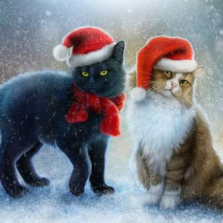 Xmas cats wallpaper