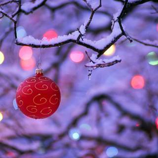 Christmas 1920x1200 wallpaper