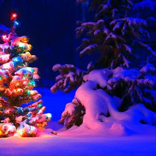 Christmas 1920x1200 wallpaper