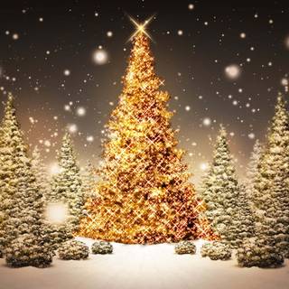 Christmas 1920x1200 wallpaper