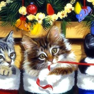 Xmas cats wallpaper