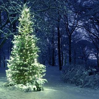 Christmas 1920x1200 wallpaper