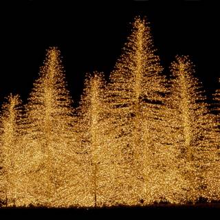 Xmas lights wallpaper