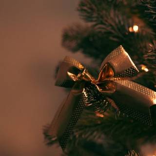 Black Xmas wallpaper