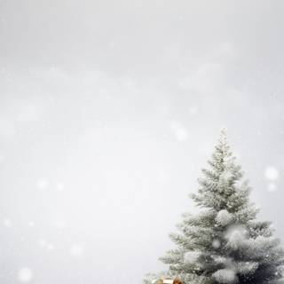 White Xmas wallpaper