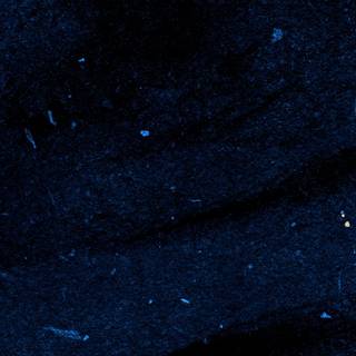 Blue plain iPhone wallpaper