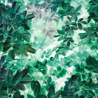 Leaves painting wallpaper