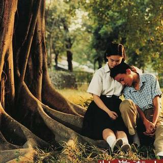 A Brighter Summer Day wallpaper