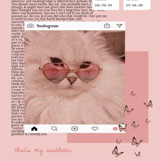 Pink kittens wallpaper