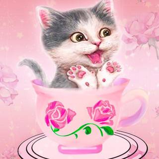 Pink kittens wallpaper