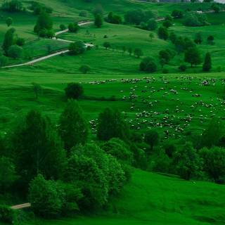 4k landscape phone wallpaper