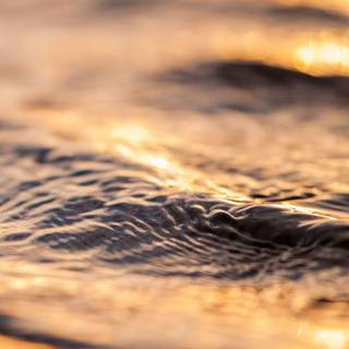 iPhone 14 gold wallpaper