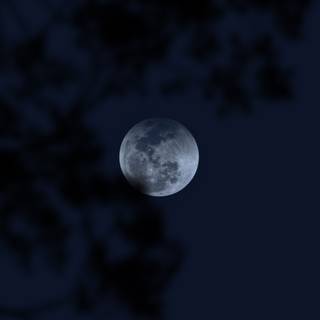 Moon night phone wallpaper