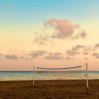 Volleyball phone wallpaper