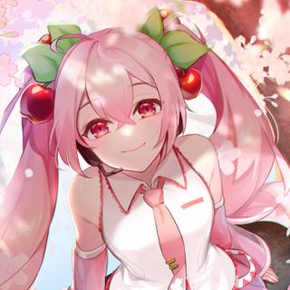 Miku Sakura wallpaper