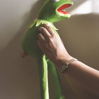 Kermit phone wallpaper