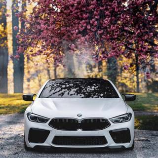 BMW M8 phone wallpaper