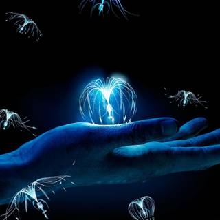 Pandora Avatar wallpaper