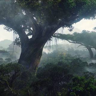 Pandora Avatar wallpaper