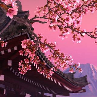 Sakura tree phone wallpaper