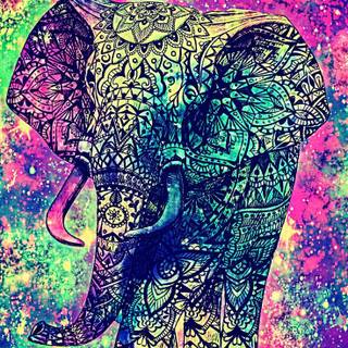 Elephant phone wallpaper