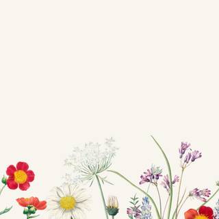 Floral borders wallpaper
