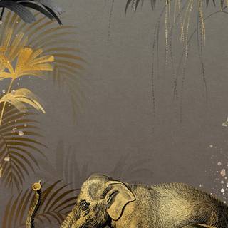 Elephant phone wallpaper