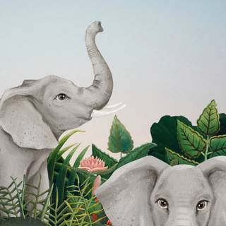 Elephant phone wallpaper