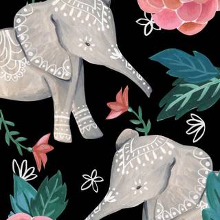 Elephant phone wallpaper