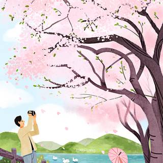 Sakura tree phone wallpaper