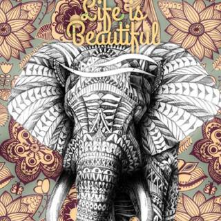 Elephant phone wallpaper